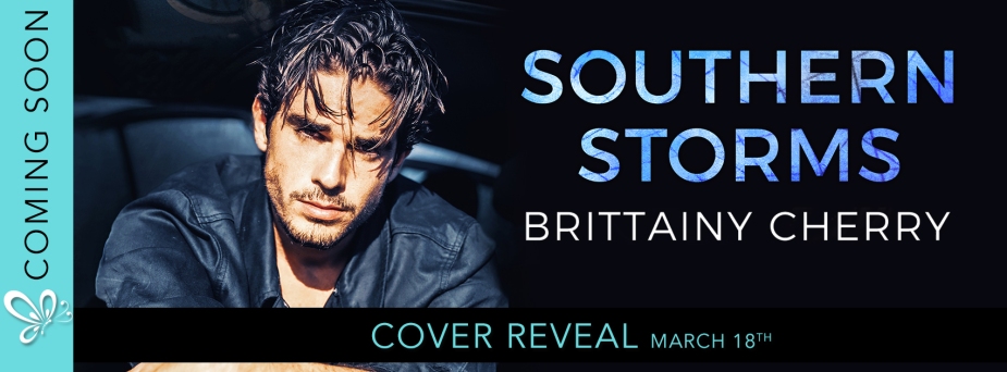 Southern Storm - CR banner